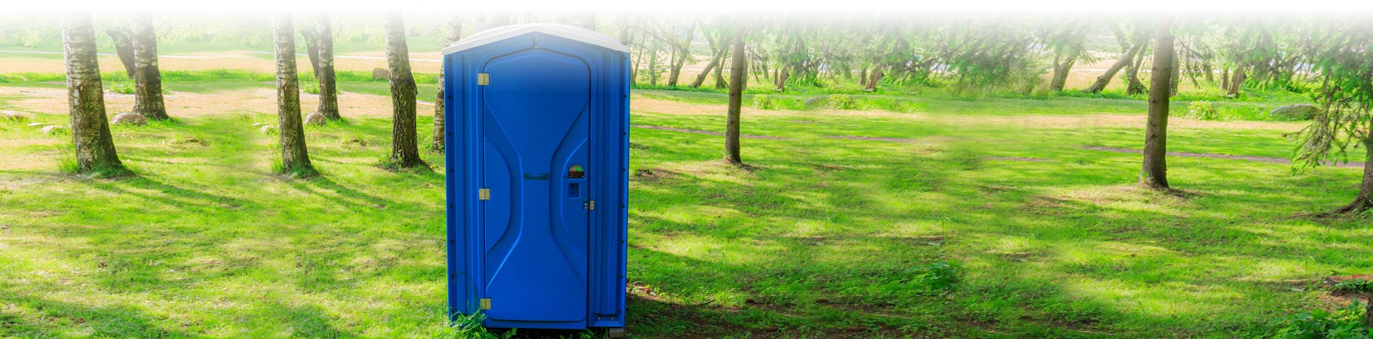 Blue Porta Potty in a wooded park